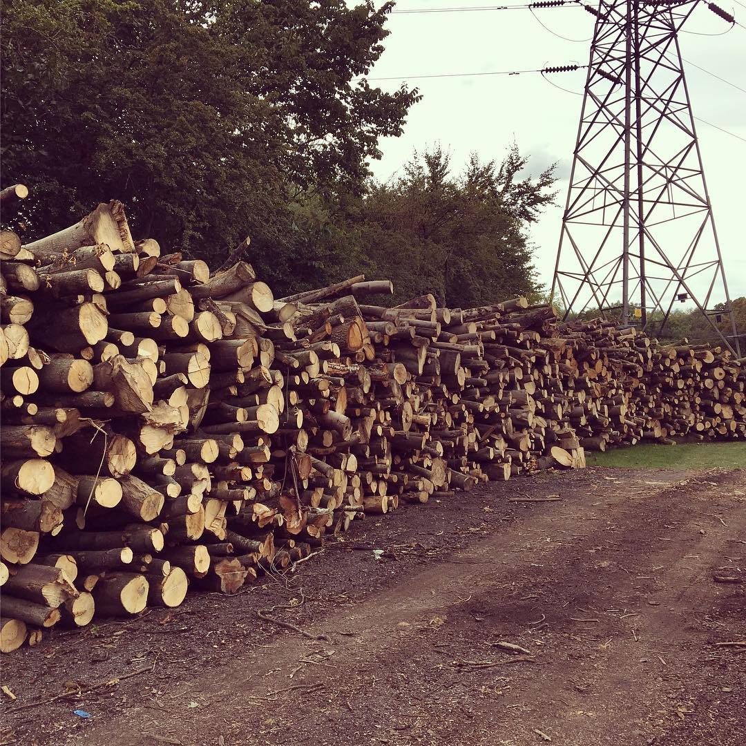 Why Kiln Dried Firewood from Tees Valley Firewood?