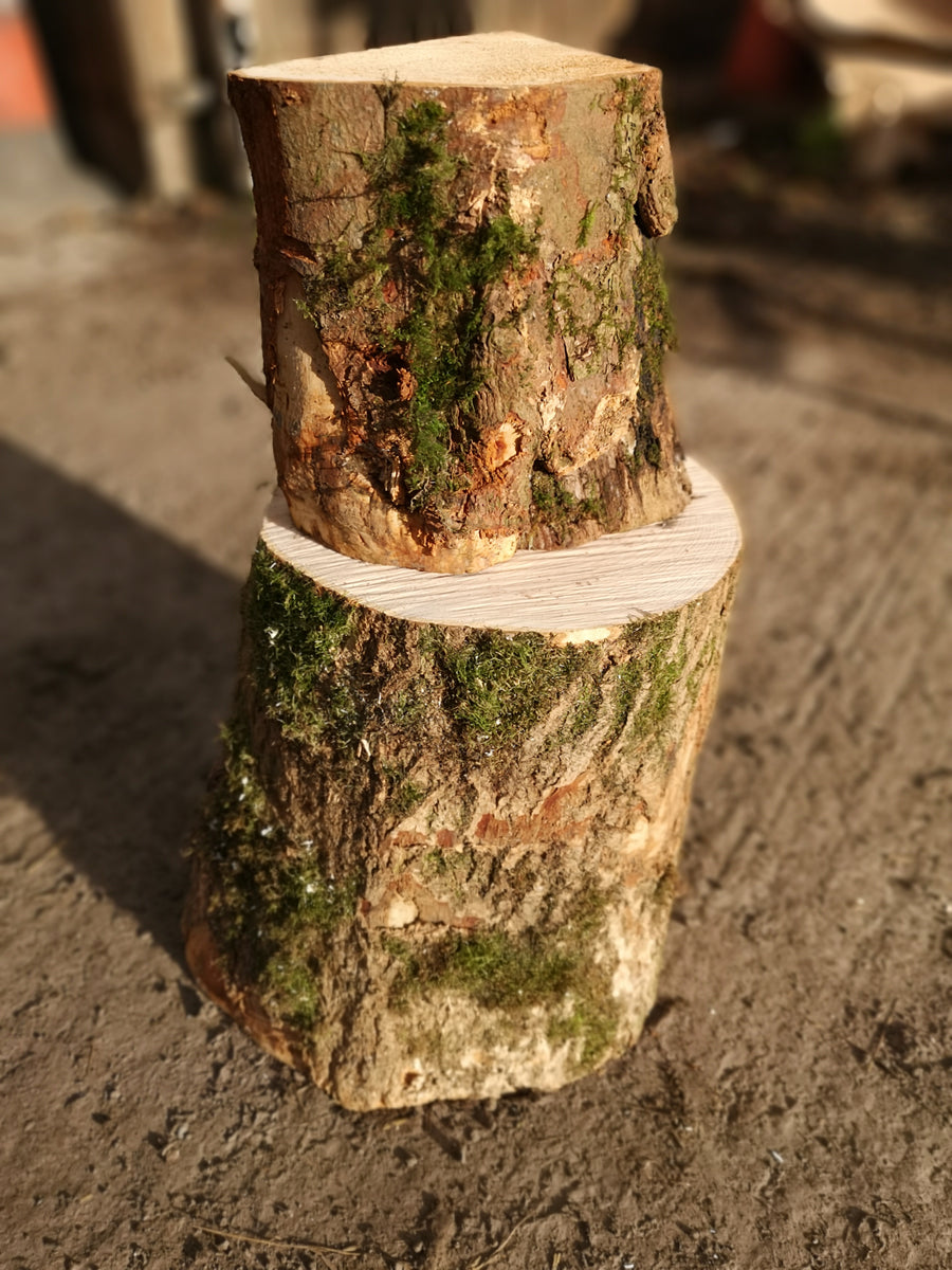 Log Chopping Block Tees Valley Firewood