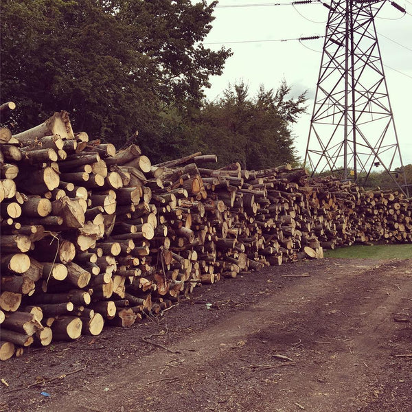 Why Kiln Dried Firewood from Tees Valley Firewood?
