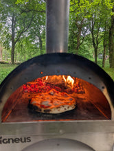 Load image into Gallery viewer, Barrow Bag of Pure Ash Wood Fired Oven Logs