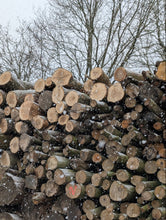 Load image into Gallery viewer, Stack of cut logs with snow on a winter day