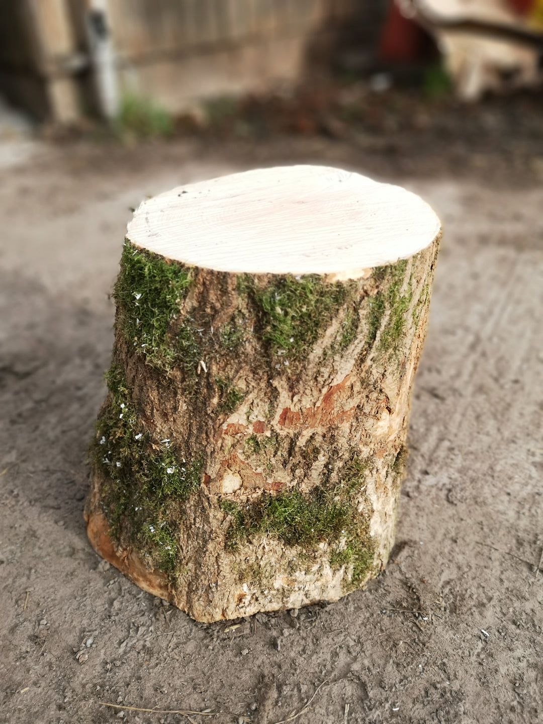 Log Chopping Block – Tees Valley Firewood