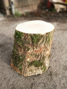 Log Chopping Block